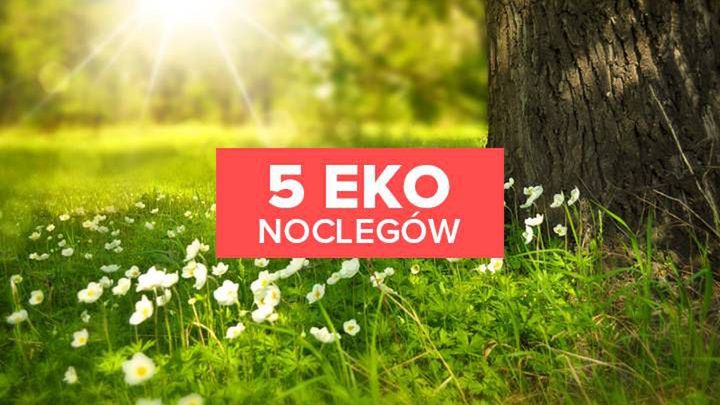 5 eko noclegów. Postaw na świadomy wypoczynek!
