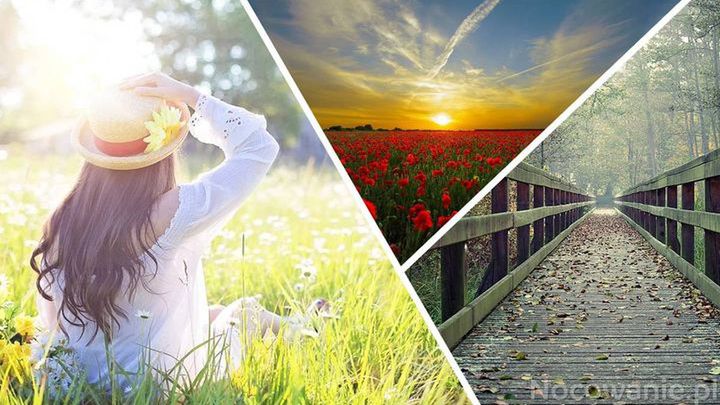 Wakacje blisko natury. Jakie kierunki warto obrać?