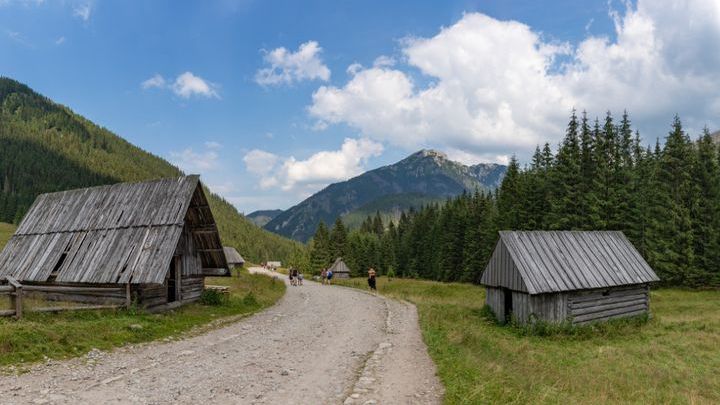 Dolina Chochołowska - poznaj najdłuższą tatrzańską dolinę!