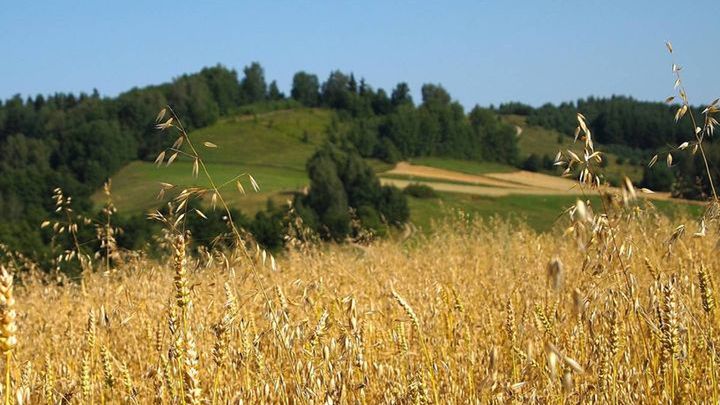 Pogoda na koniec sierpnia 2017