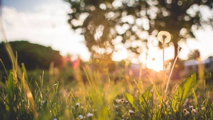 Pogoda na kwiecień 2016 na Mazurach