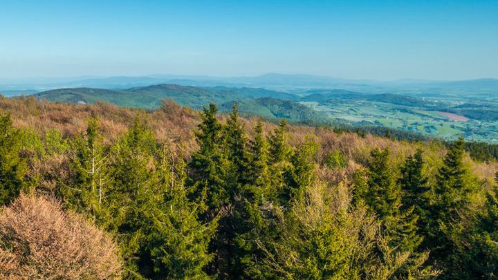 Góry Bardzkie - magiczny zakątek na Dolnym Śląsku
