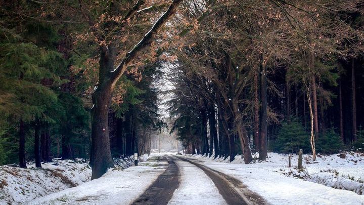 Pogoda na 3 tydzień grudnia 2018