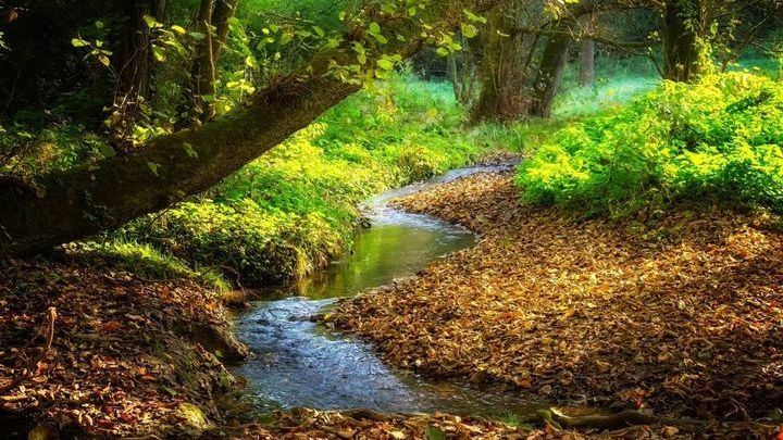 Pogoda na początek września 2019
