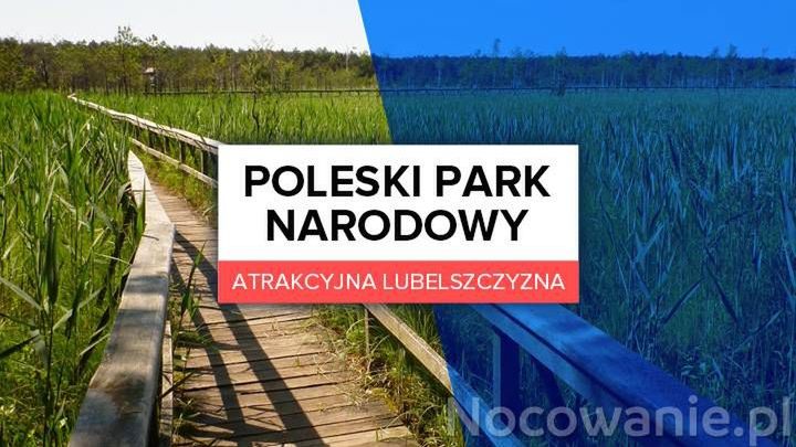 Atrakcyjna Lubelszczyzna: Poleski Park Narodowy
