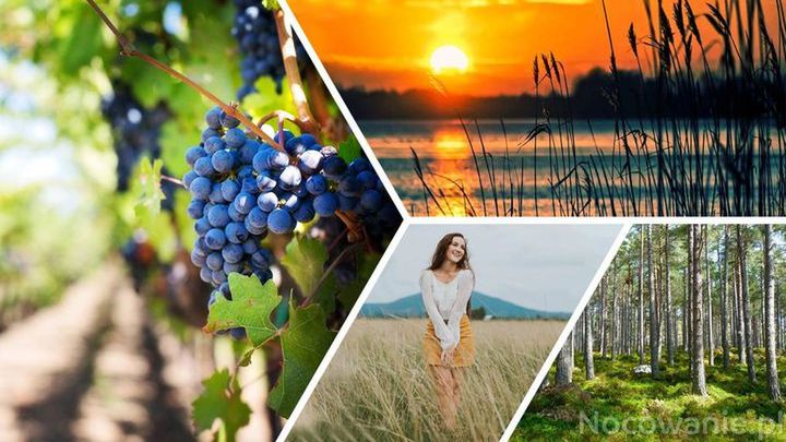 Lubuskie - ciekawe miejsca do zwiedzania