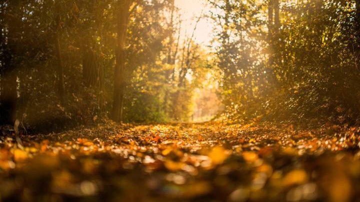Pogoda na początek października 2018