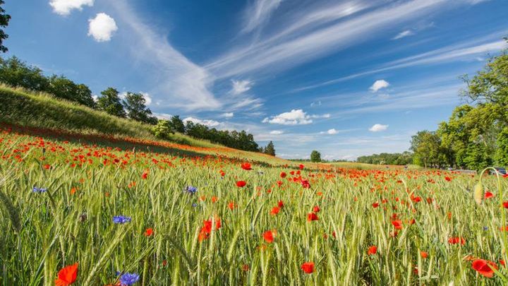Pogoda na 2 tydzień sierpnia 2018
