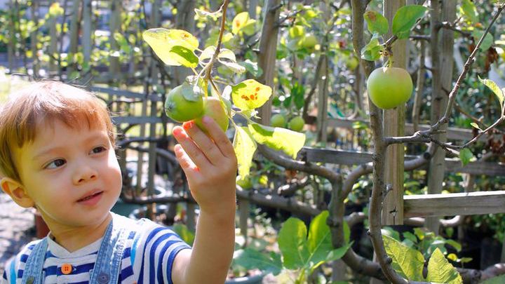 Ogrody sensoryczne w Polsce. Gdzie warto się wybrać?