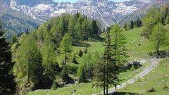 Jakubowe Święto w Szczyrku