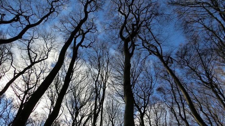 Pogoda na pierwszą połowę grudnia 2016