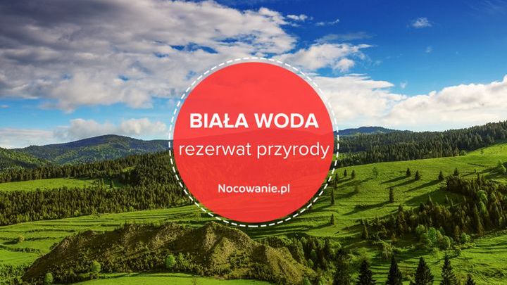 Rezerwat przyrody Biała Woda - piękny zakątek Pienin