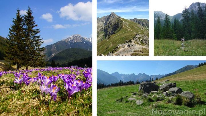 Tatry. Szlaki dla początkujących