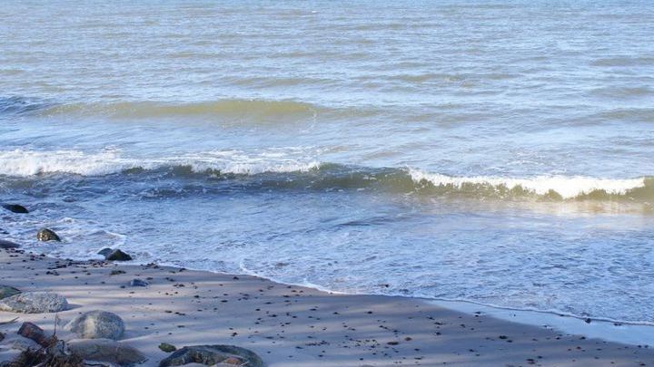 Wiosenna przechadzka brzegiem morza - zdjęcia