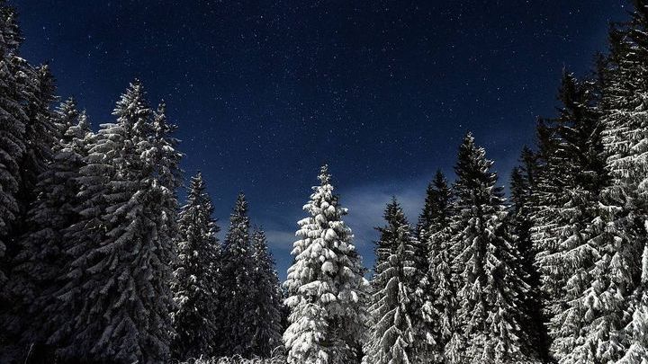 Pogoda na pierwszą połowę lutego 2019