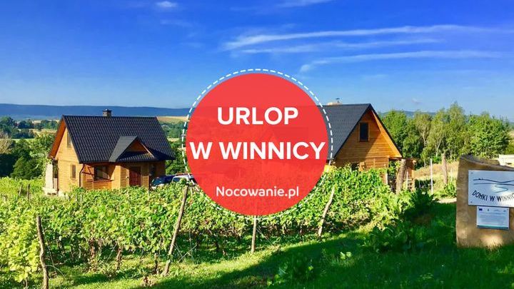 Urlop w winnicy! Musisz tego spróbować