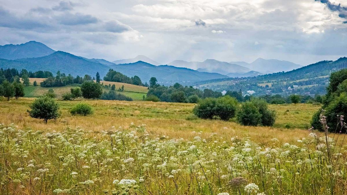 Widok z Bachledzkiego Wierchu 