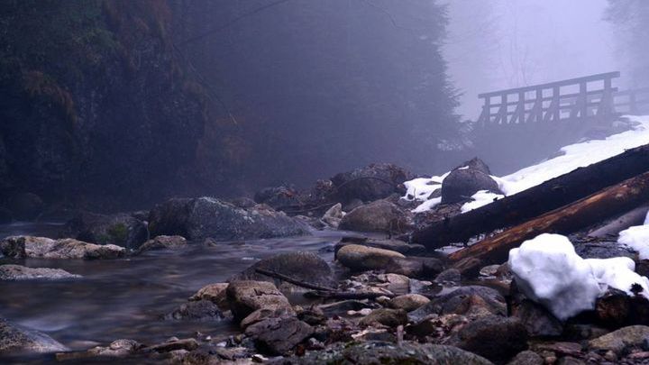 Zakopane, pierwszy śnieg w kamerze internetowej!