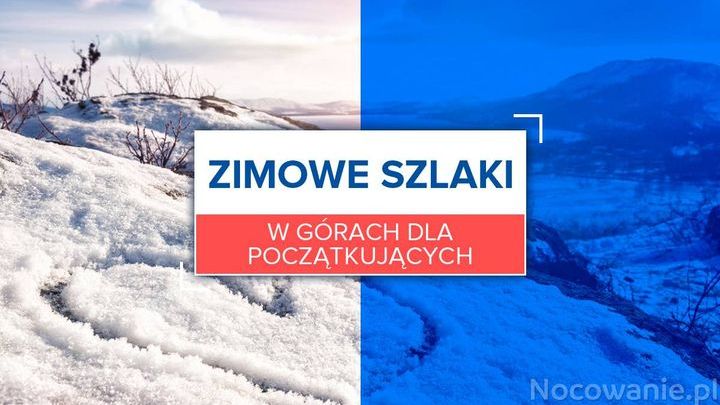 Zimowe szlaki w górach dla początkujących