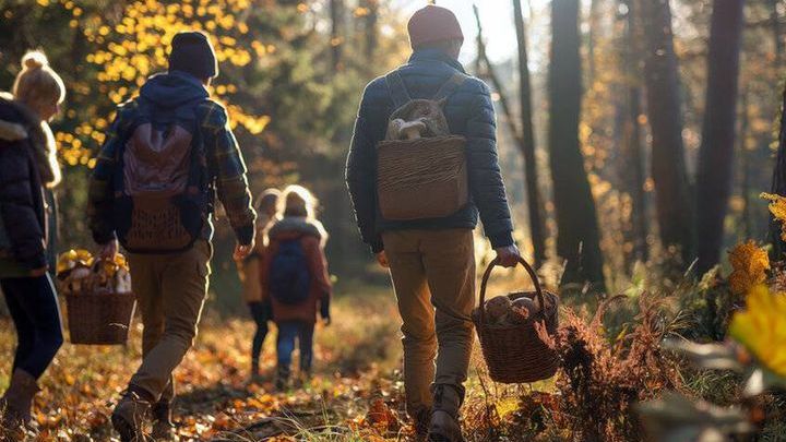Jesienne poszukiwanie grzybów. Gdzie warto się wybrać w Polsce?