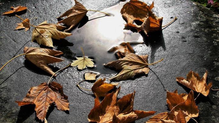 Pogoda na pierwszą połowę listopada 2018