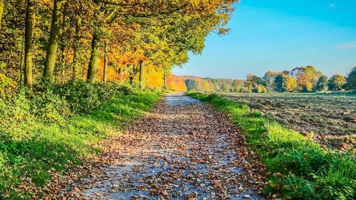 Pogoda na 1 tydzień września 2018