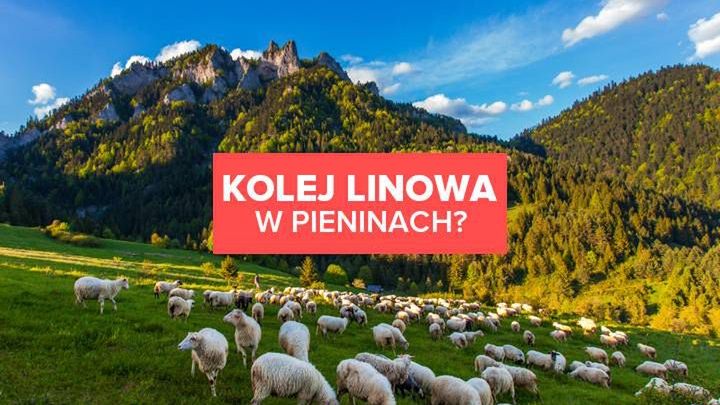 Kolej linowa w Pieninach? Są takie plany!