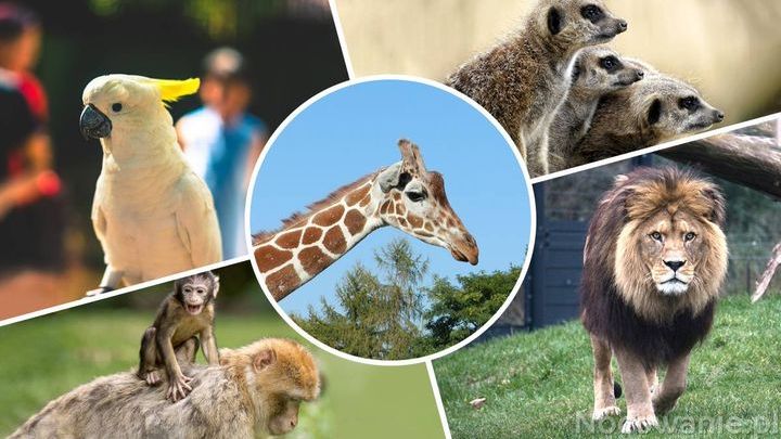 5 największych ZOO w Polsce