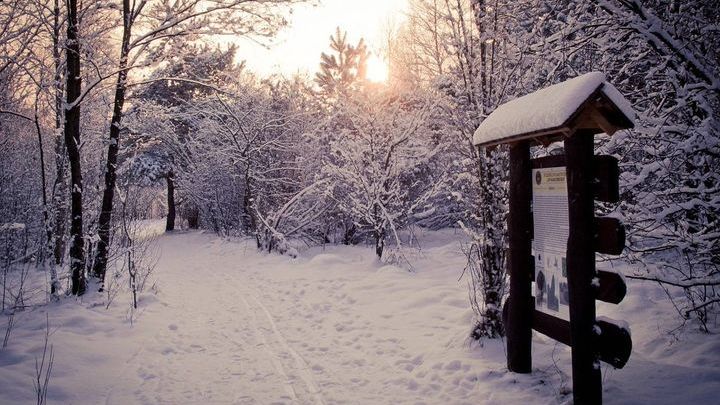 Kampinoski Park Narodowy. Co robić tu zimą?