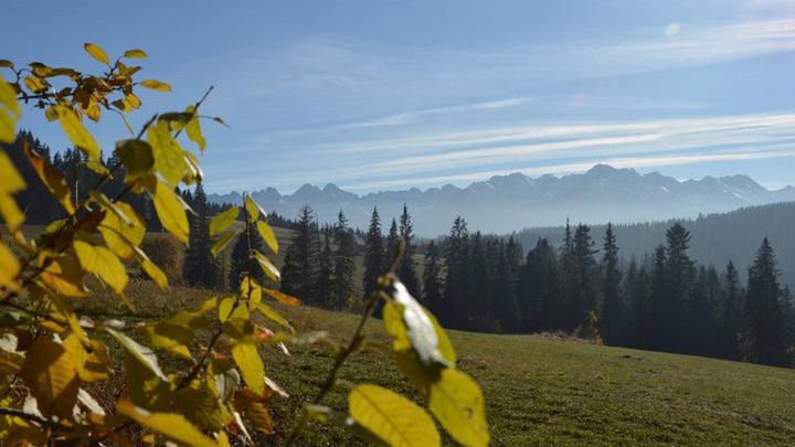 Pogoda na początek października 2017