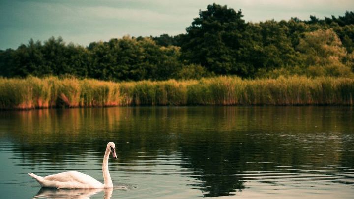 Pogoda na 1 połowę maja 2016