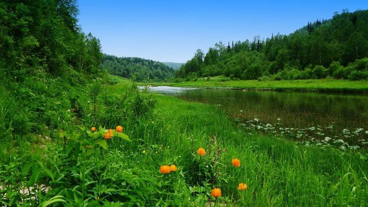 Pogoda na drugi tydzień lipca 2017