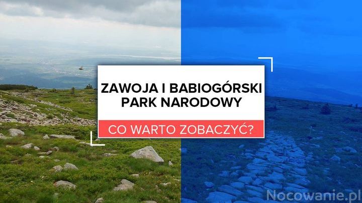 Zawoja i Babiogórski Park Narodowy. Co warto zobaczyć?