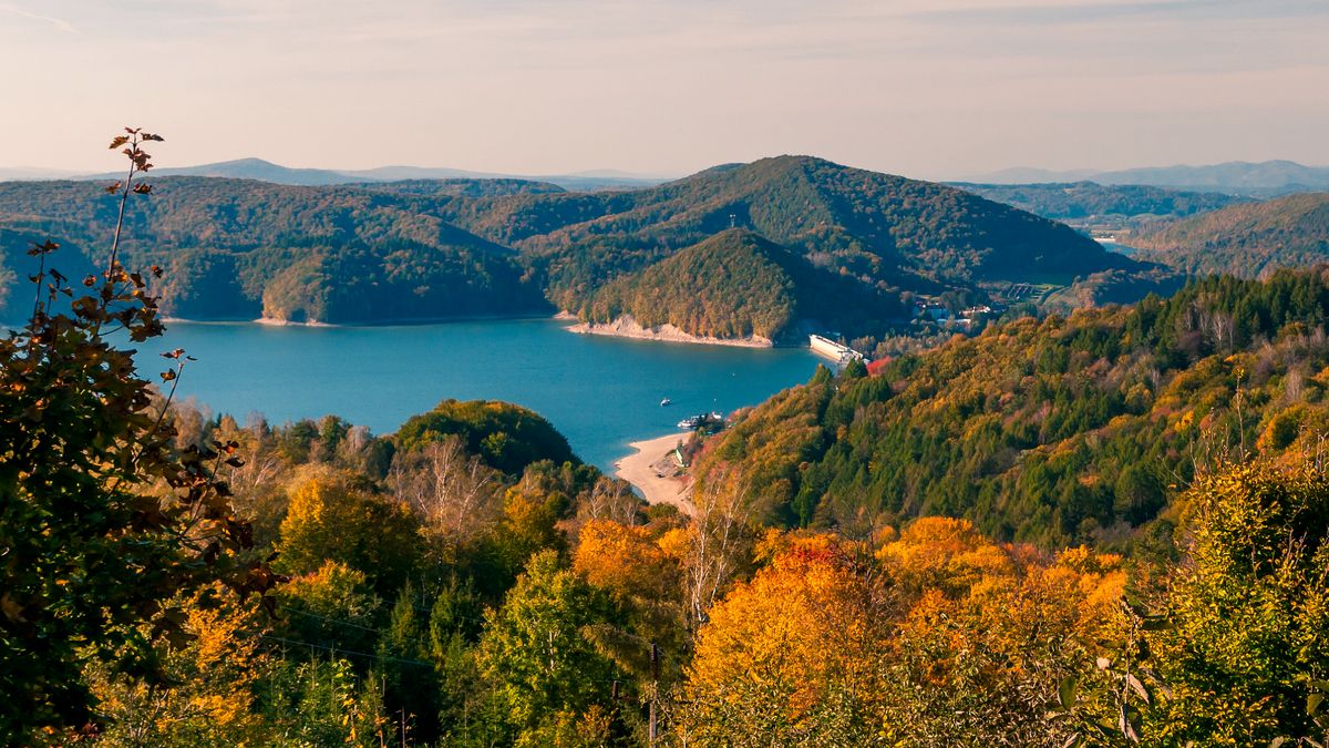 Jesienna panorama Jeziora Solińskiego widziana z leśnego szlaku widokowego na wzniesieniu. Na pierwszym planie po lewej znajdują się gałęzie drzew i gęsty las mieniący się żywymi odcieniami żółci, pomarańczu i zieleni. W centrum rozciąga się niebieska tafla zbiornika, wokół którego wznoszą się zalesione, bieszczadzkie wzgórza. W głębi, na styku wody i lądu, widoczna jest betonowa zapora wodna w Solinie z zabudowaniami elektrowni. Nad krajobrazem roztacza się jasne, zamglone niebo.