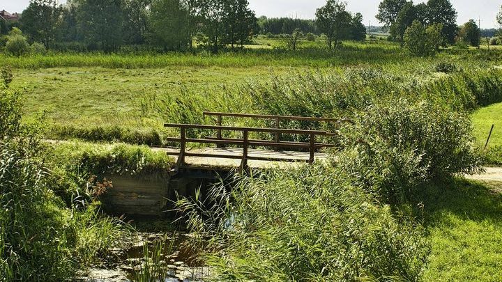 Pogoda na sierpień 2019