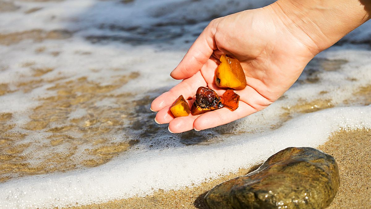 Dłoń trzymająca kilka kawałków bursztynu wyłowionych z morskiej piany na plaży