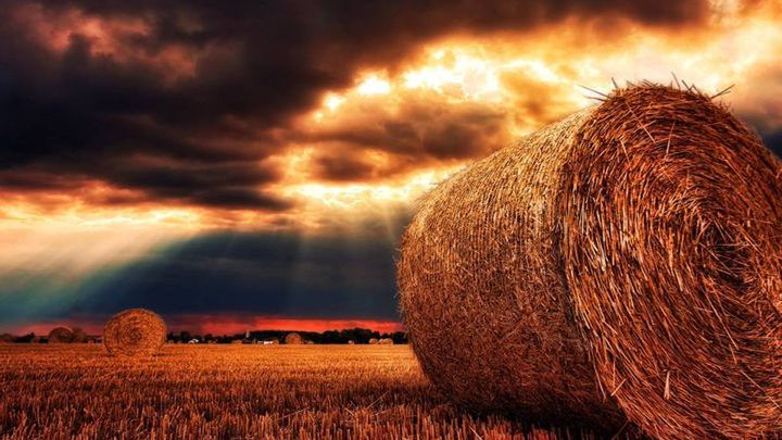 Pogoda na 3 tydzień sierpnia 2018