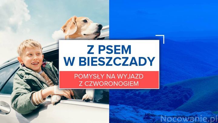 Z psem w Bieszczady. Pomysły na wyjazd z czworonogiem