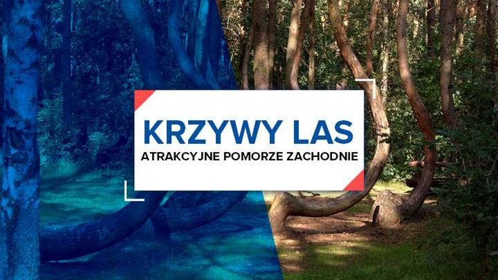 Atrakcyjne Pomorze Zachodnie: Krzywy Las