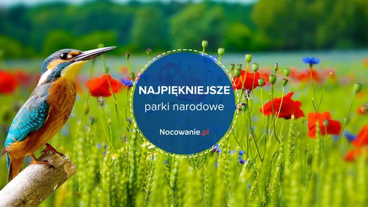 Poznaj 7 najpiękniejszych parków narodowych w Polsce