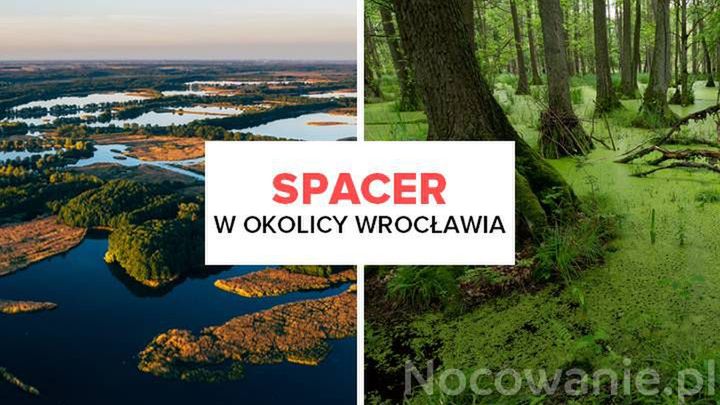 5 najlepszych miejsc na spacer w okolicy Wrocławia