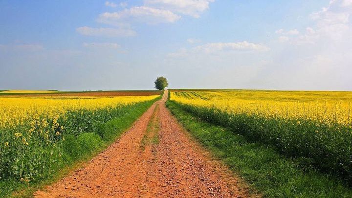 Pogoda na początek maja 2018
