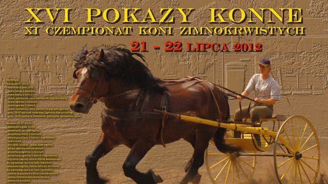 Pokazy Konne i Czempionat Koni w Kętrzynie