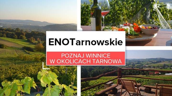 ENOTarnowskie. Poznaj winnice w okolicach Tarnowa