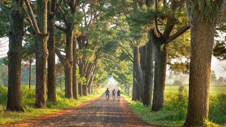 Pogoda na 3 tydzień września 2019
