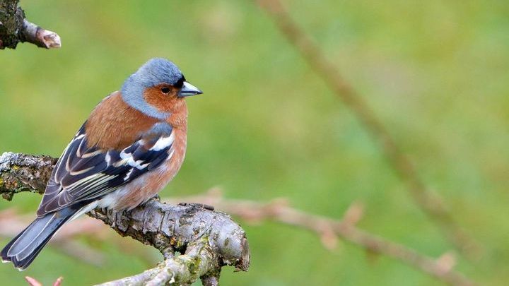 Pogoda na początek marca 2018