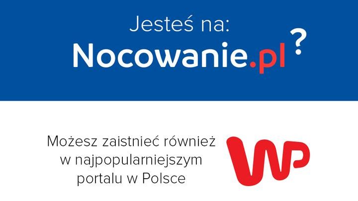 Współpraca z WP. Jak być widocznym w Wirtualnej Polsce?