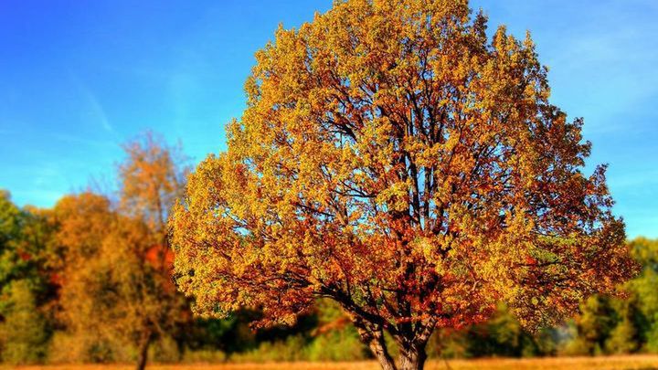 Pogoda na początek października 2019