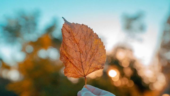 Pogoda na koniec września 2019