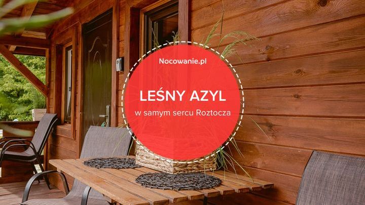 Leśny Azyl w samym sercu Roztocza. Poznaj wyjątkowe miejsce!